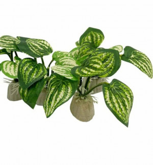 Растения для аквариума на гипсовой ножке 8 см.1 шт.