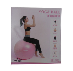 Мяч гимнастический с насосом 65 см.1000 гр.