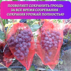 Мешочек сетка для защиты от ос и птиц 45*25 см.1 шт.