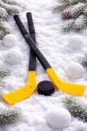 Набор для хоккея - клюшка 2 шт.57*14 см.,шайба 1 шт.6*3 см.