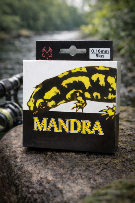 ruslan_shakirian@mail.ru